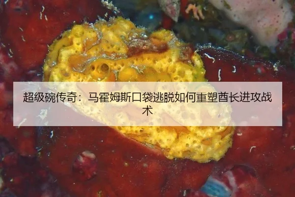 chao-ji-wan-chuan-qi-ma-huo-mu-si-kou-dai-tao-tuo-ru-he-zhong-su-qiu-zhang-jin-gong-zhan-shu-2-995.jpg